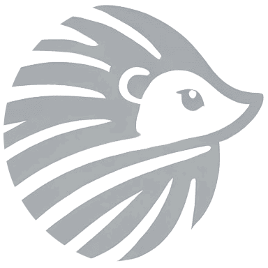 Logo DERIZOS